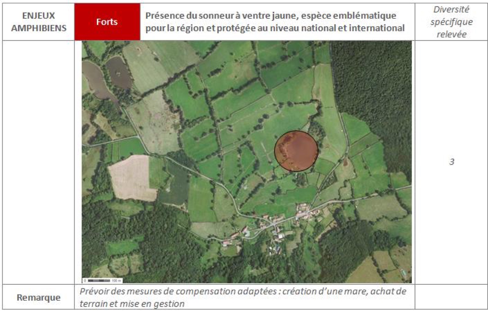 Extrait d'un cahier technique : tableau d'enjeux amphibiens avec niveau de sensibilité et cartographie aérienne